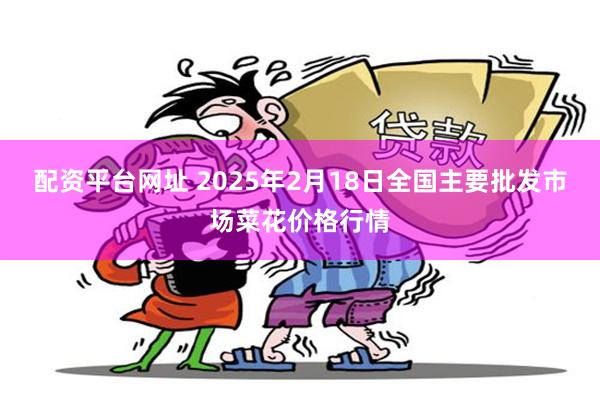 配资平台网址 2025年2月18日全国主要批发市场菜花价格行情