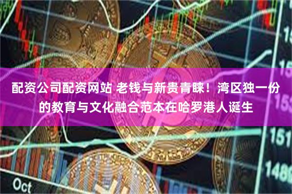 配资公司配资网站 老钱与新贵青睐！湾区独一份的教育与文化融合范本在哈罗港人诞生