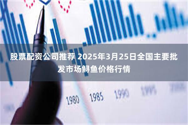 股票配资公司推荐 2025年3月25日全国主要批发市场鲟鱼价格行情