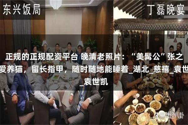 正规的正规配资平台 晚清老照片：“美髯公”张之洞爱养猫，留长指甲，随时随地能睡着_湖北_慈禧_袁世凯