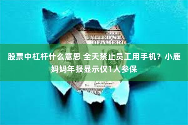 股票中杠杆什么意思 全天禁止员工用手机？小鹿妈妈年报显示仅1人参保