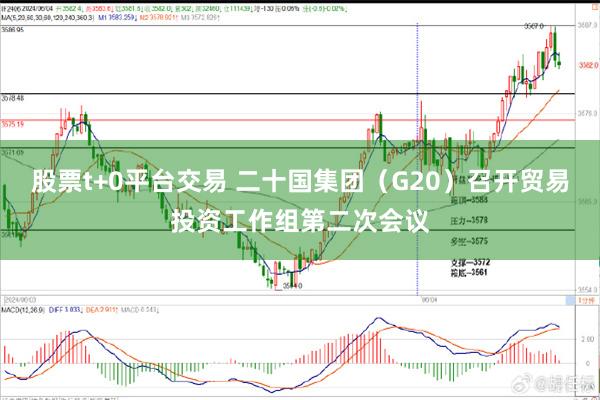 股票t+0平台交易 二十国集团（G20）召开贸易投资工作组第二次会议