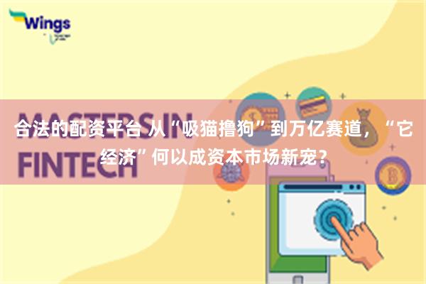 合法的配资平台 从“吸猫撸狗”到万亿赛道，“它经济”何以成资本市场新宠？