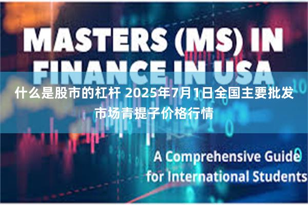 什么是股市的杠杆 2025年7月1日全国主要批发市场青提子价格行情